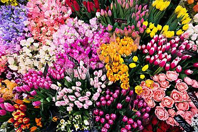 高自由度武侠RPG《江湖路：缘起》公布预告 年中发售  